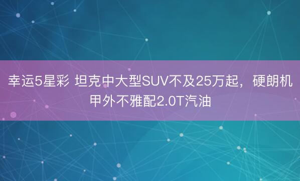 幸运5星彩 坦克中大型SUV不及25万起，硬朗机甲外不雅配2.0T汽油